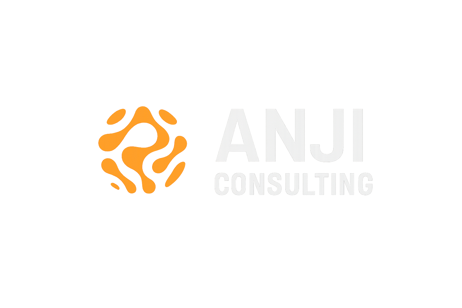 Anji Consulting Inc